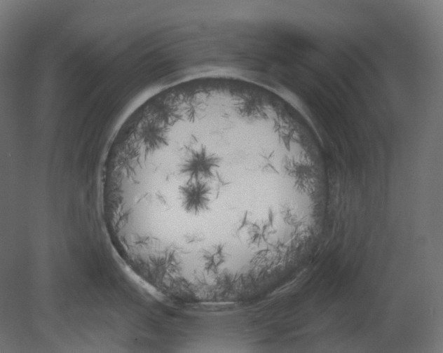 X0000080671151200701121626