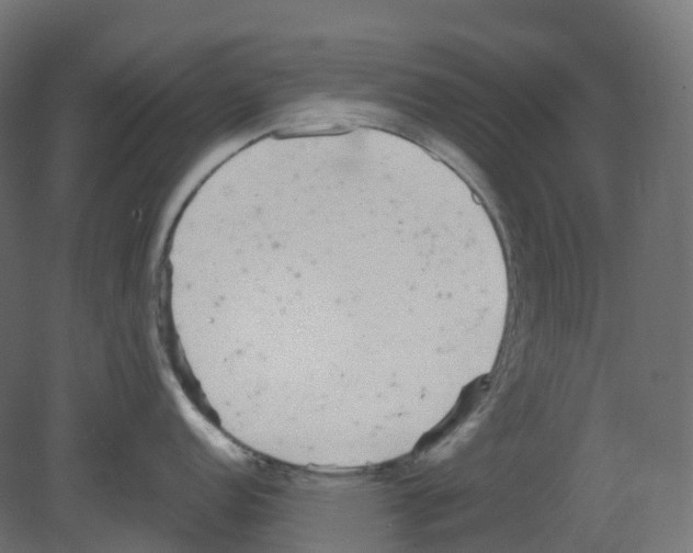 X0000080671152200701121626