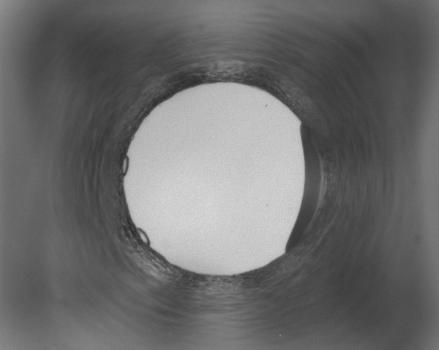 X0000080671153200701121625