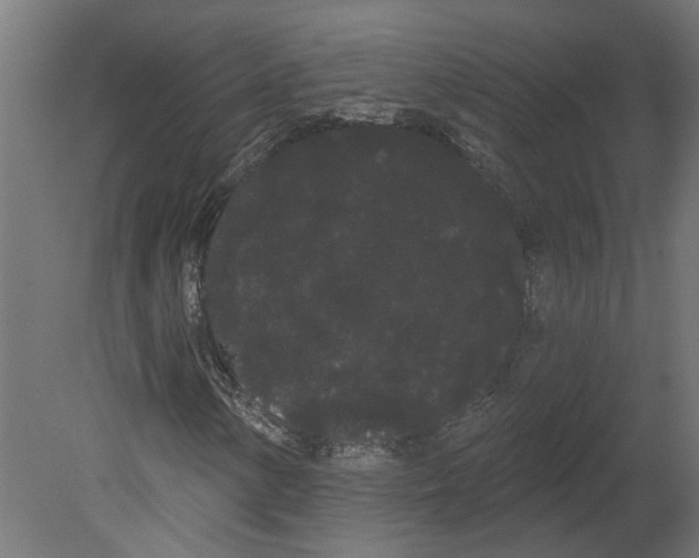 X0000080671154200701121625