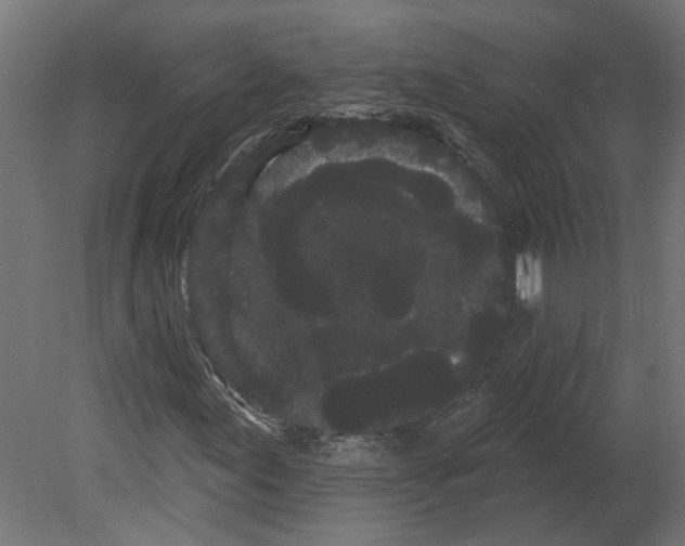 X0000080671155200701121625