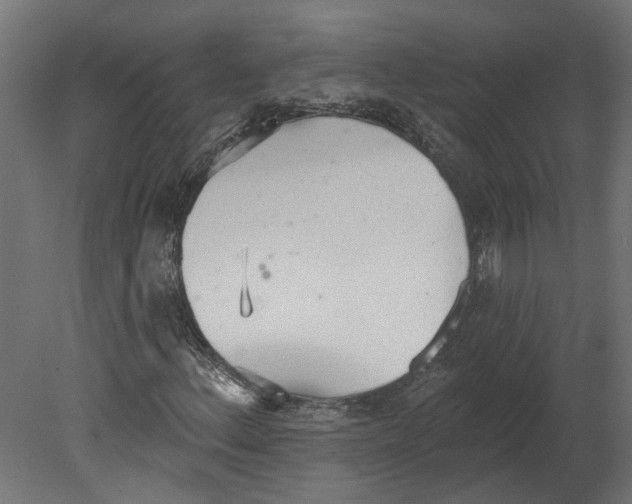 X0000080671156200701121625