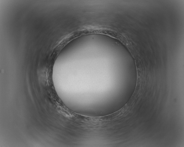 X0000080671157200701121625