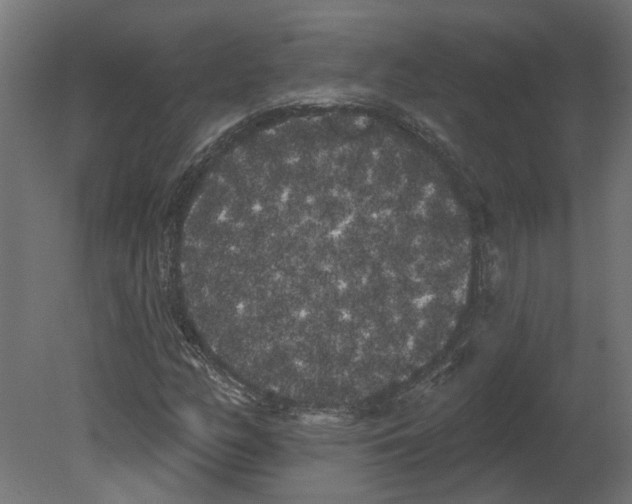 X0000080671158200701121625