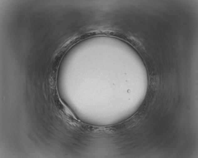 X0000080671159200701121625