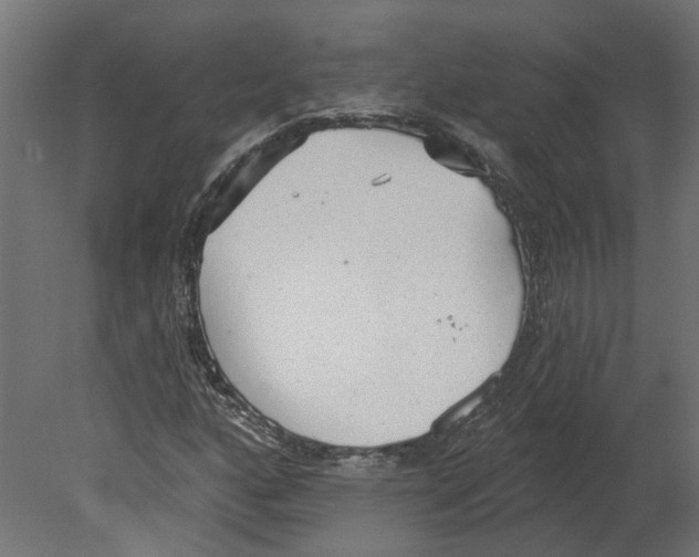 X0000080671160200701121625