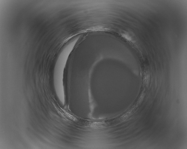 X0000080671161200701121625