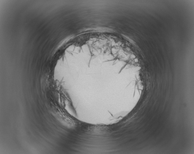 X0000080671163200701121625