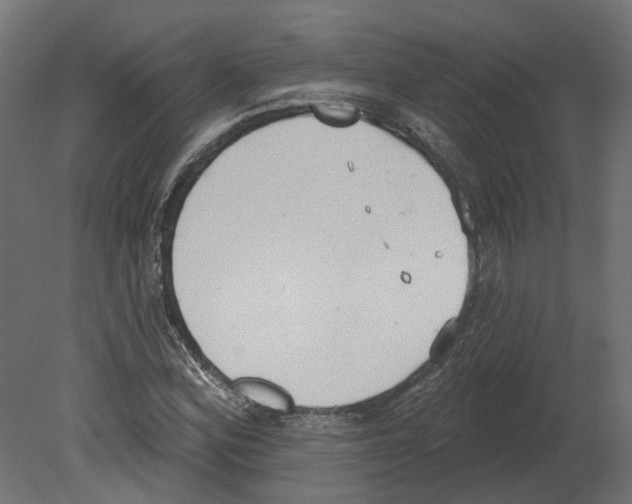 X0000080671164200701121625