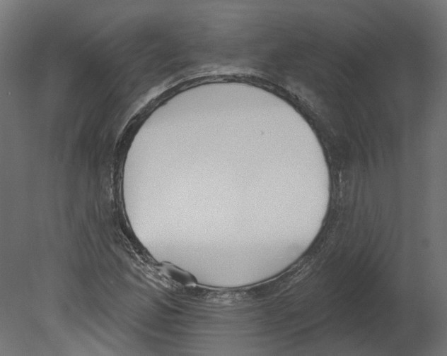 X0000080671165200701121625