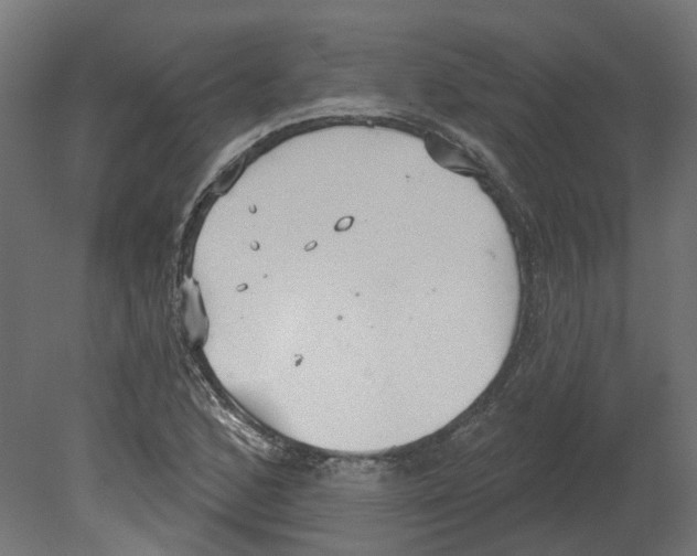 X0000080671168200701121625