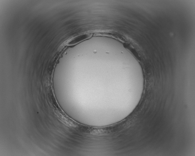 X0000080671169200701121625