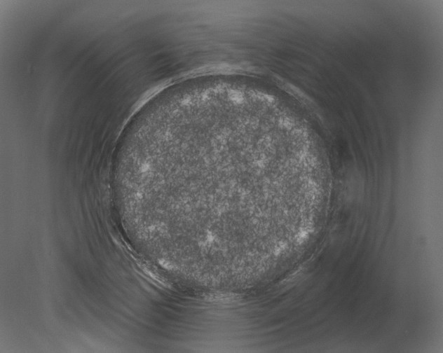 X0000080671170200701121625