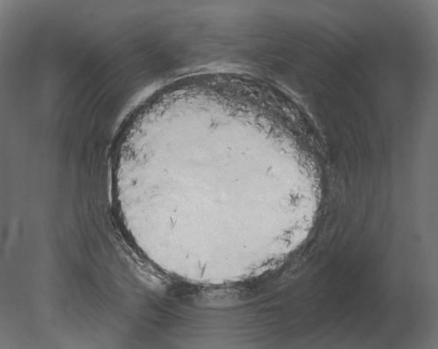 X0000080671171200701121625