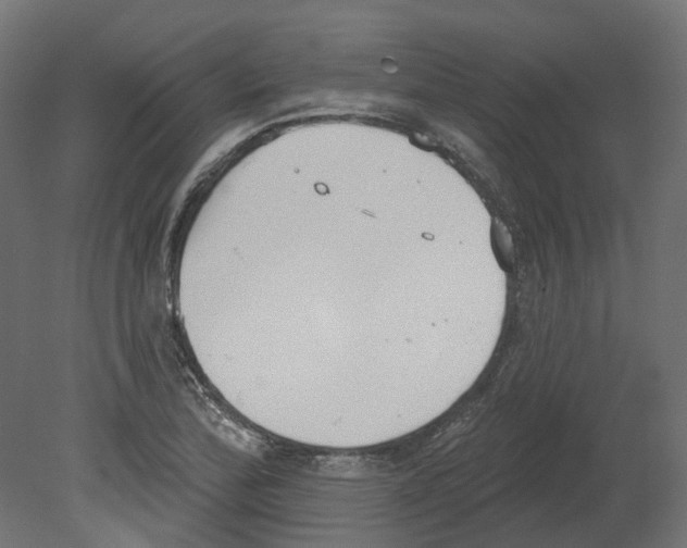 X0000080671172200701121625