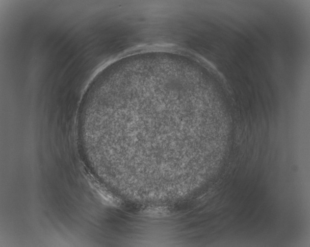 X0000080671174200701121625