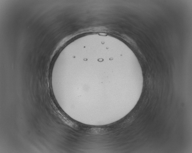 X0000080671176200701121625