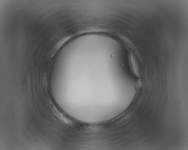 X0000080671177200701121625