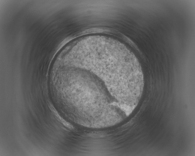 X0000080671178200701121625