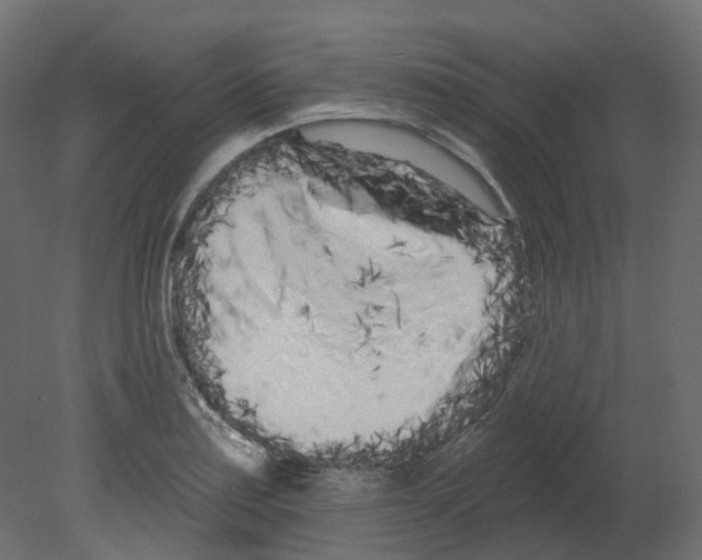 X0000080671179200701121625