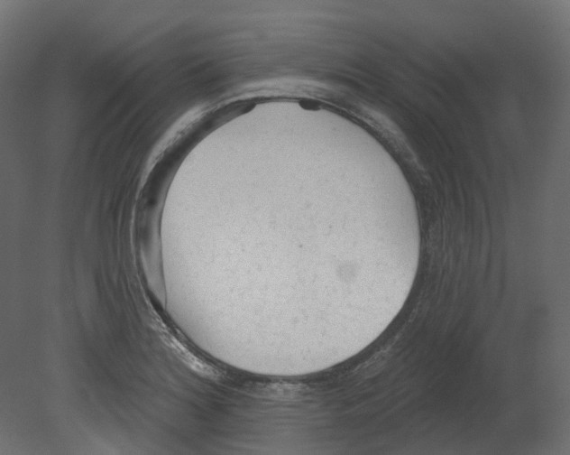 X0000080671180200701121625