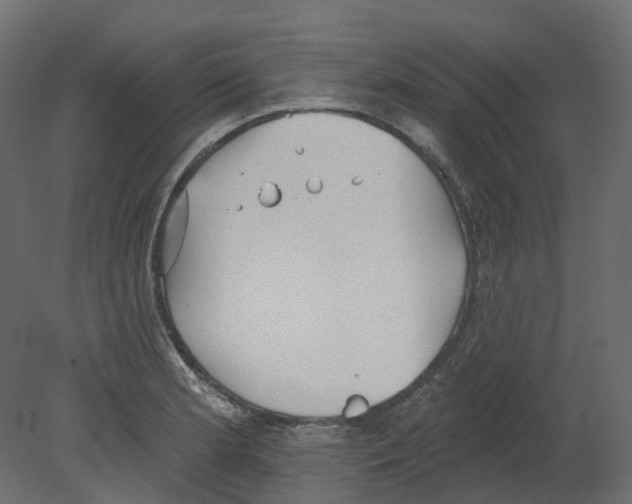 X0000080671181200701121625