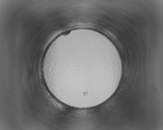 X0000080671182200701121625