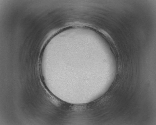 X0000080671183200701121624