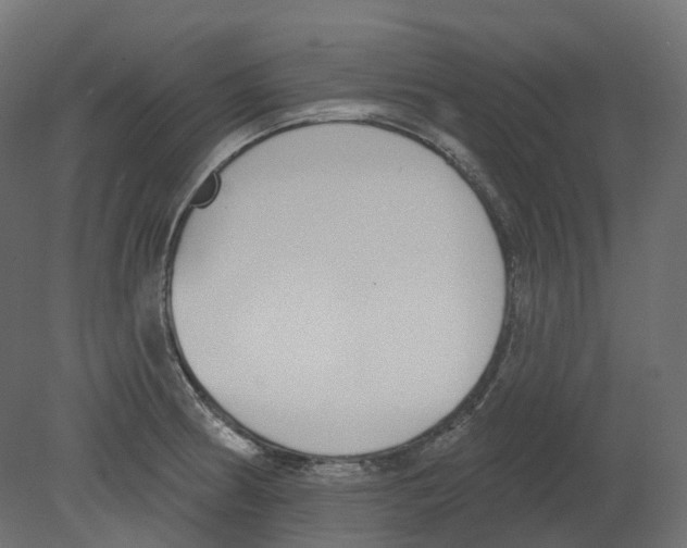 X0000080671186200701121624