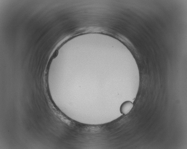 X0000080671190200701121624