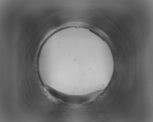 X0000080671192200701121624