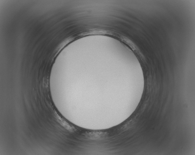 X0000080671193200701121624