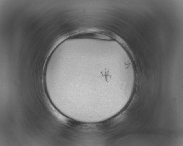 X0000080671194200701121624