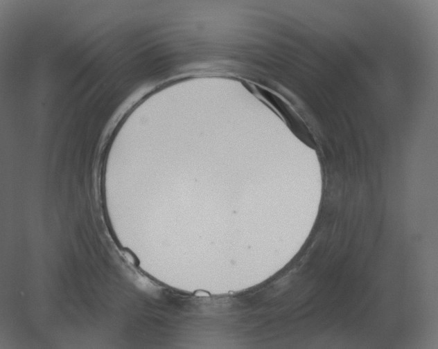 X0000080671196200701121624