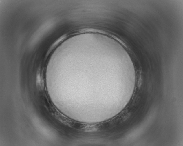 X0000080671198200701121624