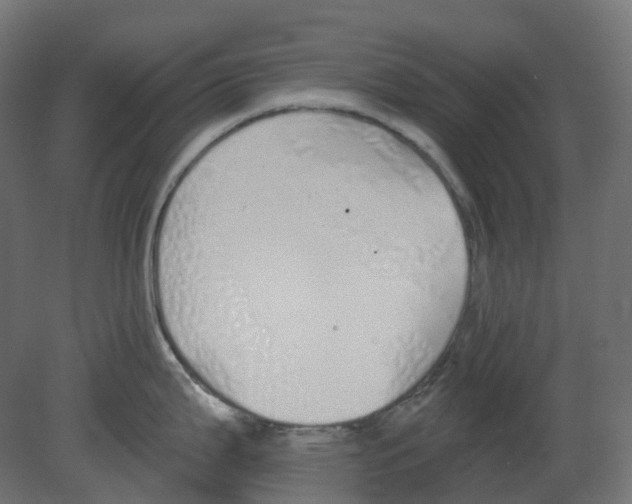 X0000080671199200701121624