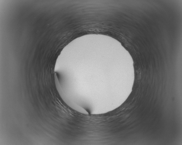 X0000080671202200701121623