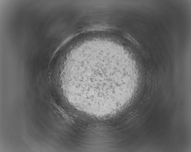 X0000080671208200701121624