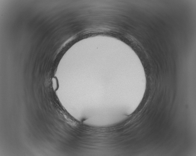 X0000080671210200701121624