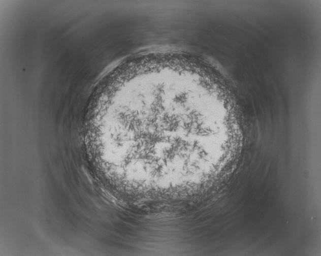 X0000080671213200701121624