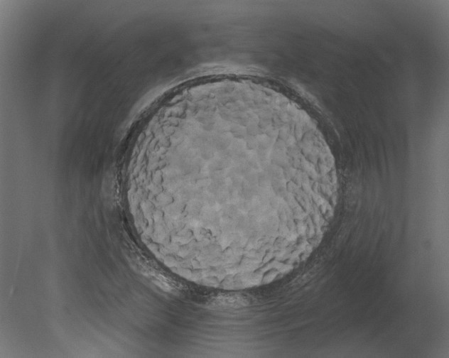 X0000080671215200701121624