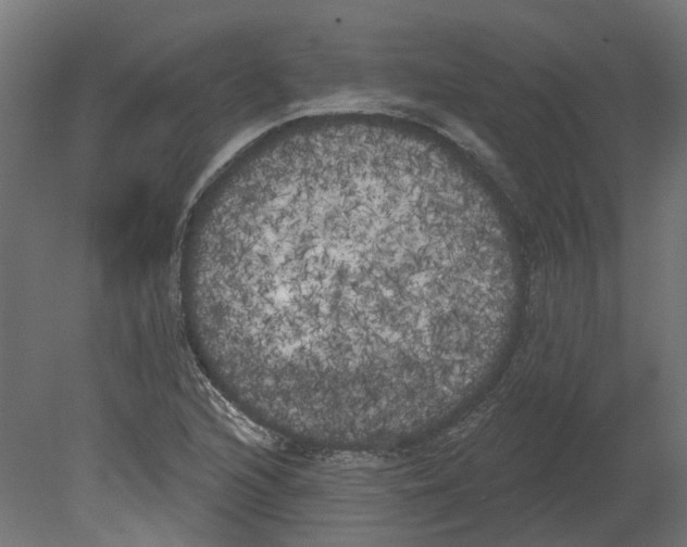 X0000080671216200701121624