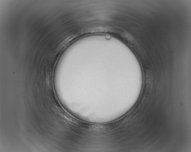 X0000080671217200701121624