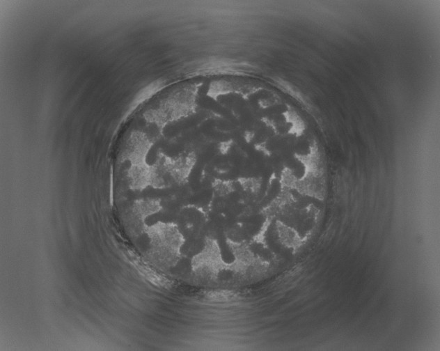 X0000080671219200701121624