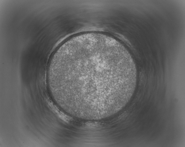 X0000080671220200701121624