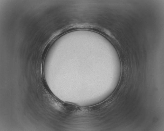 X0000080671221200701121624