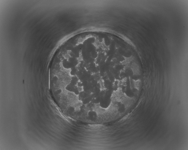 X0000080671223200701121624