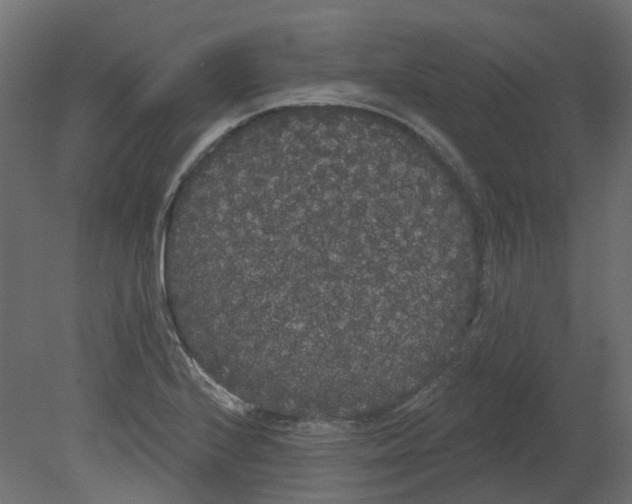 X0000080671224200701121624