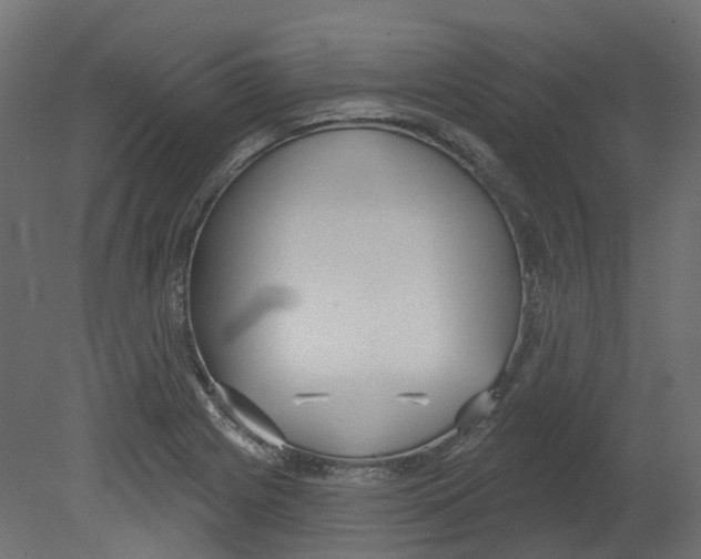 X0000080671225200701121624