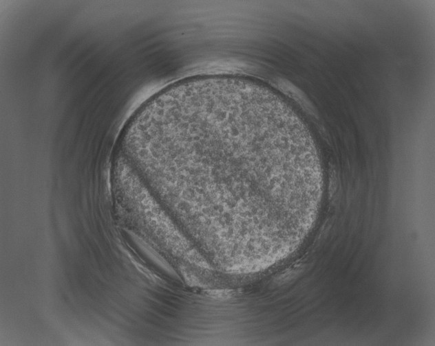 X0000080671226200701121624